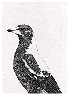 Maxwell & Williams Marini Ferlazzo Birds Bedrucktes Geschirrtuch mit Australischem Königspapagei Design, Baumwolle, Schwarz/Weiß, 50 x 70 cm
