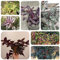 400 pcs Dreimasterblume Samen, luftreinigende zimmerpflanzen Tradescantia zebrina, Zimmerpflanzen, dekoration wohnzimmer gartenpflanzen garten pflanzen blumen garten topfpflanzen echt