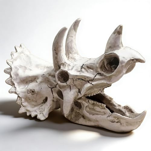 Sertay Triceratops Skelett Aquarium Deko, Reptilien Totenkopf, Groß Skull Skelett Aquascape, Es Ist EIN Sehr Durchdachtes Geschenk Für Dinosaurierliebhaber Und Aquarienspieler (A)