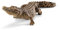 schleich 14736 Krokodil, ab 3 Jahren, WILD LIFE - Spielfigur, 18 x 7 x 5 cm