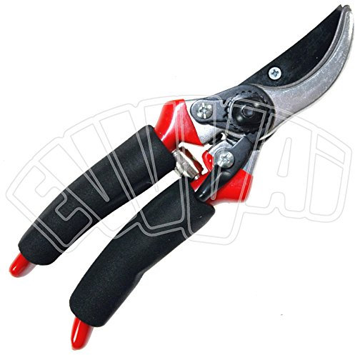 FORBICE VIGNA ALLUMINIO TOP VENDEMMIA POTA PIANTE POTATURA VITE VINO ENOLOGIA