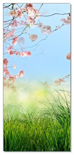Wallario Selbstklebende Türtapete mit Schutzlaminat Kirschblütenzweige und grüne Wiese- Frühling - Türposter 93 x 205 cm Abwischbar, rückstandsfrei zu entfernen