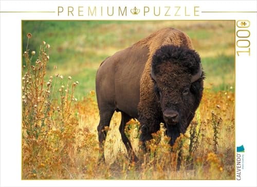 Puzzle · EIN Motiv aus dem Kalender Wisent & Bison | Büffel · 1000 Teile · Lege-Größe 64 × 48 cm · CALVENDO Puzzle