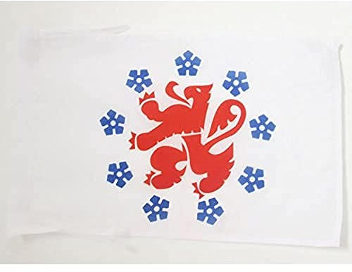 AZ FLAG - Flagge Deutschsprachige Gemeinschaft - 45x30 cm Mit Kordel - Dg Belgien Fahne 30 x 45 cm - Flaggen