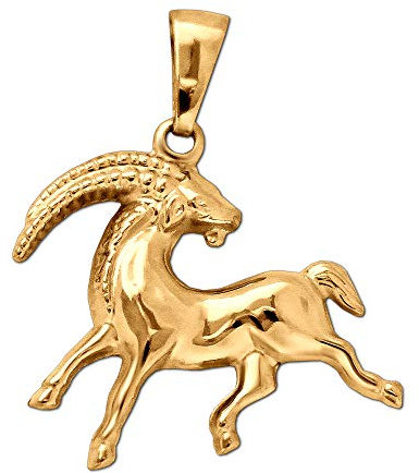 CLEVER SCHMUCK Goldener Sternzeichen Anhänger Steinbock 18 x 15 mm beidseitig plastische Form und glänzend 333 Gold 8 Karat im Schmucketui creme