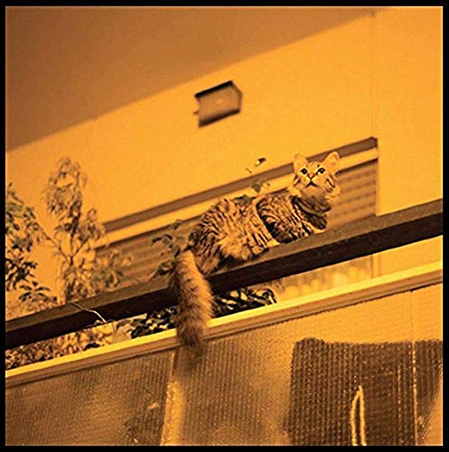 Thrill Jockey Records