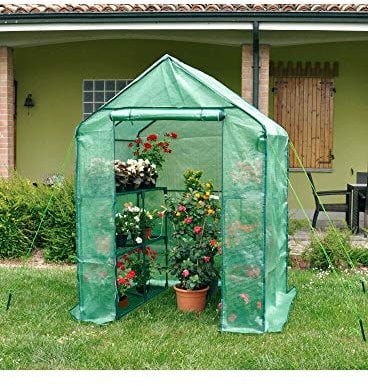 Verdemax Anemone Serra a Forma di casa, con Livelli