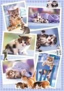 Little Friends (Puzzle), Cats