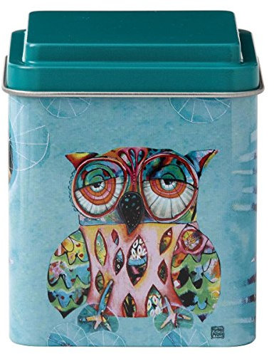 Cat and Owl D119 Owl Storage Tin