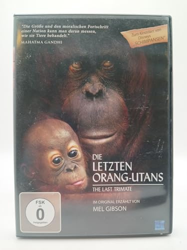 Die letzten Orang-Utans - The Last Trimate