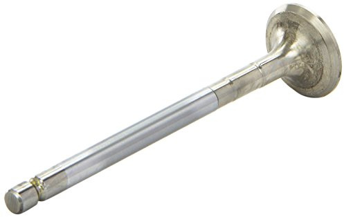 AE V98069 Auslaßventil