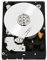 Western Digital Black, 4TB, SATAIII 3.5 4000 Go Série ATA III - Disques durs (4TB, SATAIII, 3.5, 4000 Go, 7200 TR/Min)