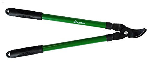 Best Price Square LO200