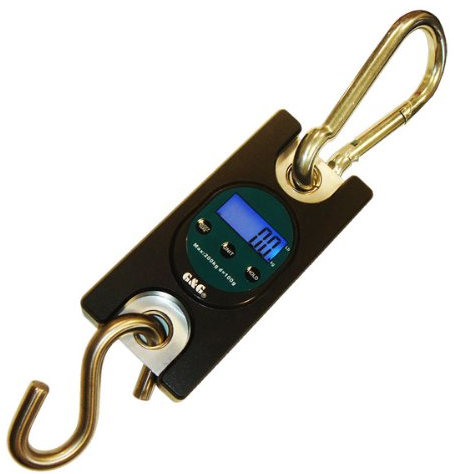 300kg/100g OCS-40 Kranwaage Hängewaage Lastenwaage G&G
