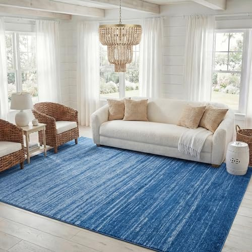 SAFAVIEH Adirondack Area Rug 6x9, Light Blue & Dark Blue ADR113F