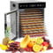 WUDLEP 12 Trays Stainless Steel Rotate Food Dehydrator, Dual fan 360° Efficient Drying, 24H Adjustable Timer & 35-90℃ Temperature Control, Dehydrator Food Dyer for meat fruit, 800W