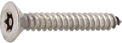 Toolcraft SEKO SICHERH.-SCHR. PIN-TORX 4,8X38 (10)