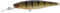 Illex Dd Squirrel 67 Sp Perch Esca Artificiale da Spinning Mare Spigola Traina