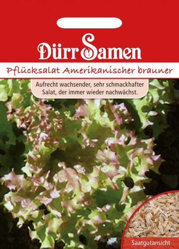 Dürr-Samen - Pflücksalat Amerikanischer Brauner Saatgut
