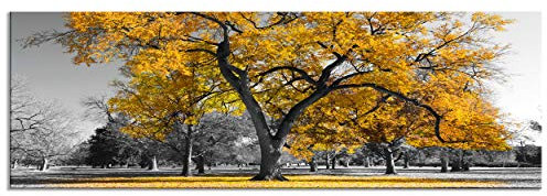 decomonkey - Impression sur Toile Arbre 120x40 1 Pièce - Tableau Décoration Appartement Cadre en Bois Déco Salon Peinture sur Toile Maison Des arbres photographie automne paysage feuilles nature