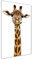 Tulup Glas-Bild Wandbild aus Glas - Wandkunst - Wandbild hinter gehärtetem Sicherheitsglas - Dekorative Wand für Küche & Wohnzimmer 70x140 - Tiere - Giraffe - Braun