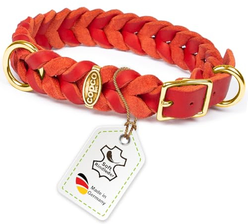 CopcoPet Hundehalsband aus Fettleder 45–49 cm x 25mm Rot – Geflochtenes Lederhalsband – Messing mit Dornschließe – Robust & verstellbar – Für große Hunde, ideal für Alltag & Training