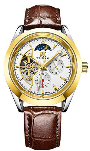 rorios Mode Herren Uhren Automatisch Mechanisch Uhren mit Lederarmband Leuchtende Skelett Armbanduhr