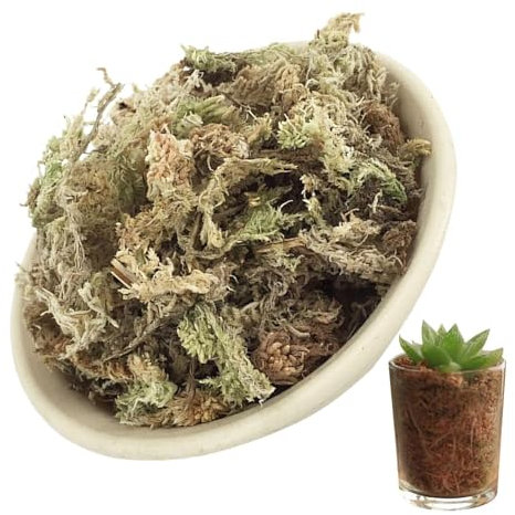 Orchideenmoos Zum Umtopfen,Natürliches Getrocknetes Moos Für Orchideen,Saftiges Moos Zum Umtopfen,Saftiges Moos Zum Umtopfen, Terrariendekoration,Topfblumen-Sphagnum Für Heimwerkerarbeiten