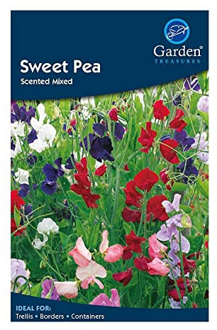 Garden Treasures Sweet Pea Scented Mixed Grow Your Own Flowers