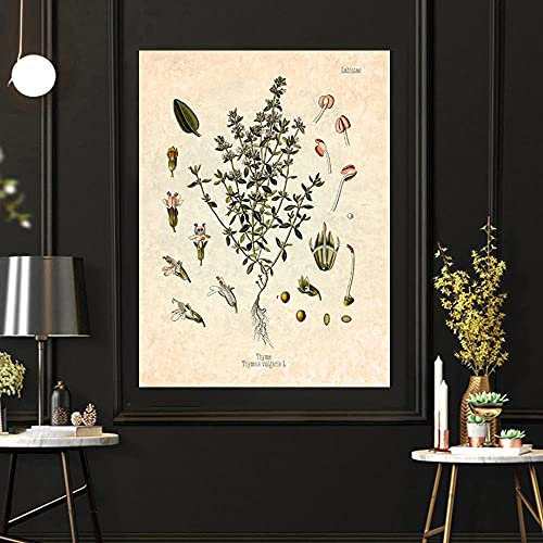 CloudShang Especias Hierbas Poster Vintage Perejil Salvia Romero Tomillo Culinaria Planta Pared Arte Cuadro Comedor Cocina Pintura G03190