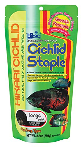 Hikari 8.8-Ounce Cichlid Staple Floating Pellets for Pets, Large