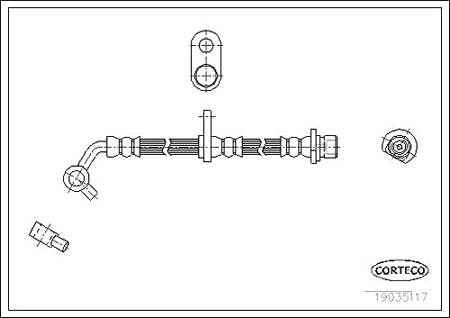 Corteco 19035117 Bremsschlauch hinten rechts
