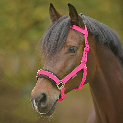 Waldhausen Pferdedecke aus Nylon., Unisex – Erwachsene, Rosa, Pura sangre