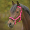 Waldhausen Pferdedecke aus Nylon., Unisex – Erwachsene, Rosa, Pura sangre