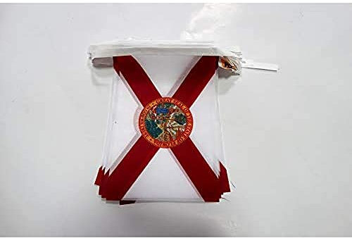 AZ FLAG - Fahnenkette Florida 6 Meter Mit 20 Flaggen - 21x14 cm - Bundesstaat Florida Girlande Flaggenkette 14 x 21 Cm