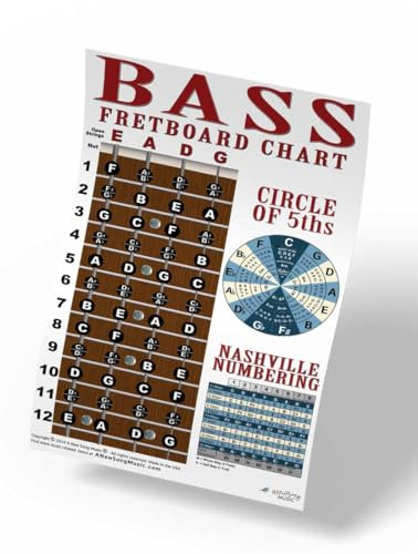 4-saitige Bass-Anleitungstabelle mit Griffbrett-Notizen-Poster, Nashville-Nummerierungssystem, Kreis der 5. Ebenen, A New Song Music (27,9 x 43,2 cm), 2024