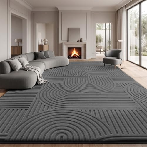 Sour Lemon Groß Teppich Wohnzimmer 240x300, Flauschiger Teppiche Anthrazit | Waschbarer Kurzflor Teppich Kreis Design, Rutschfeste Teppiche für Schlafzimmer, Esszimmer, Küche und Büro