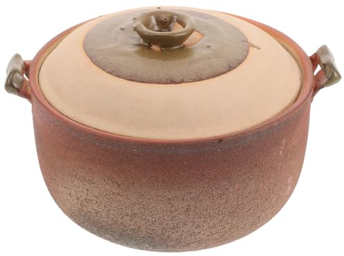 Toyvian Cocotte en Terre Cuite 2,5l avec Poignée Marmite Maison pour Cuisson Lente Casserole Argile pour Soupes et Bouillies Pot Cuisson Céramique Cuisine Familiale