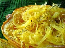 Spaghetti Squash Rare Kürbis Pasta Ersatz Bio gut Essen Samen 50 Samen