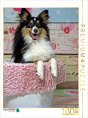 CALVENDO Puzzle EIN Motiv aus dem Kalender Mit Shelties durchs Jahr | 1000 Teile Lege-Größe 48 x 64 cm Foto-Puzzle für glückliche Stunden