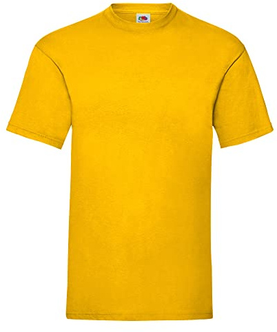 Fruit of the Loom Men's Short Sleeve T-Shirt - Multi-Coloured - Medium