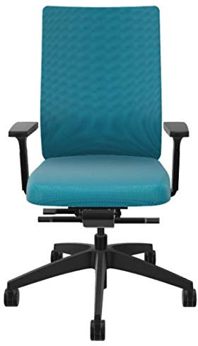 Sedus se:do Bürostuhl, ergonomisch, Schreibtischstuhl, individuell anpassbar, ideal fürs Home-Office (Türkis)
