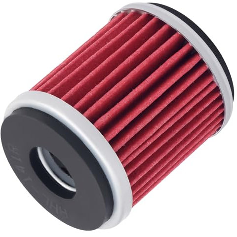 AHL Moto Filtro Olio 1S7-E3440-00 5TA-13440-00 5YP-E3440-00 compatibile con Scooter CZD300 A X-Max 300 Tech MAX (Intake Air Filter) 2020,CZD300 A X-Max 300 Tech MAX (Crankcase Air Filter) 2020