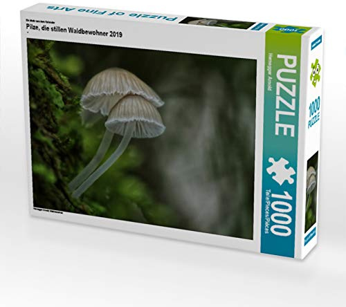 CALVENDO Puzzle EIN Motiv aus dem Kalender Pilze, die stillen Waldbewohner 2019 | 1000 Teile Lege-Größe 64 x 48 cm Foto-Puzzle für glückliche Stunden