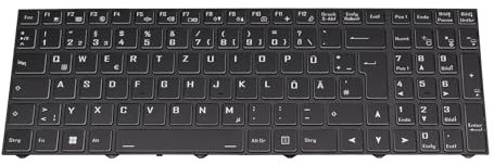 MEDION 40081359 Original Tastatur DE (deutsch) schwarz/weiß/schwarz matt mit Backlight für Erazer Defender P20 (NP70PNP-M), Scout E10 (NP70PNJ-M), Crawler E30 (NP50PNK-M)