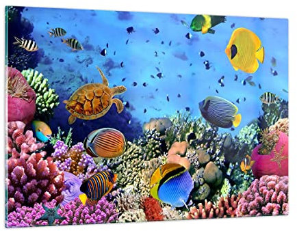 Wandbilder Dekoration Wohnzimmer Korallenriff Bilder auf Glas 120x80cm Glasbild Schlafzimmer Küche Deko Wand Kunstdruck Art Groß XXL Wanddeko Bild im Glas Modern Wall Decor Glasdruck GAA120x80-3569