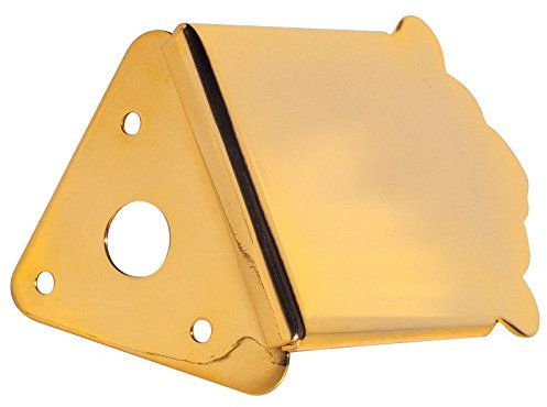 Golden Gate M-132 mandolina cordal: tradicional