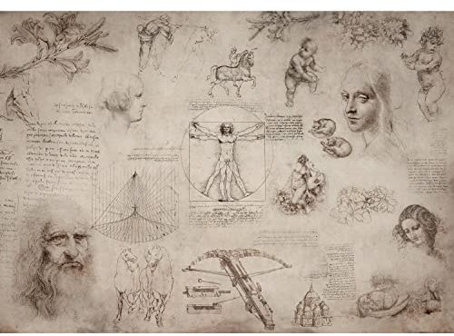 Runa Art Fototapeten 396 x 280 cm Collage Leonardo Da Vinci - Vlies Wanddekoration Wohnzimmer Schlafzimmer - Deutsche Manufaktur - Braun 9319012a