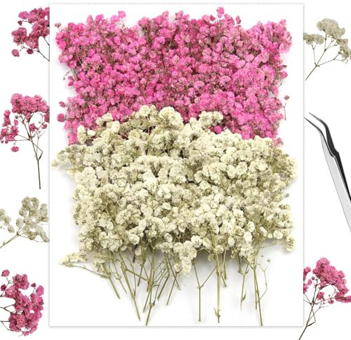 GZGXKJ 120 Stück Getrocknetes Schleierkraut Weiß Rosa Trockenblumen zum Basteln Mini Trockenblumen Deko für Kerzen, Kunsthandwerk aus Kunstharz, Grußkarten, Maniküre, Handyhüllen