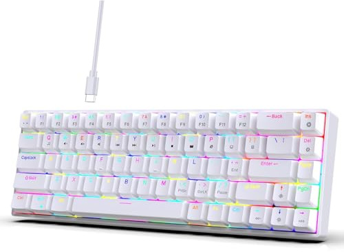 XUMIUZIY Mechanische Gaming Tastatur, 68 Tastenkabel Tastatur mit Heißen Tasten mit Swappbaren und 19 RGB Hintergrundbeleuchtungsmodi, Rot Switch Heiz Swapping, Ergonomische Tastatur für (White)
